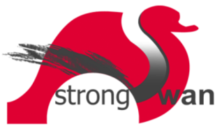 Hướng dẫn cài đặt VPN Site to Site trên Ubuntu, Centos sử dụng StrongSwan