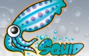 Cài đặt Squid Proxy và Clamav trên Firewall PFsense