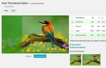 Fix lỗi crop image trên wordpress