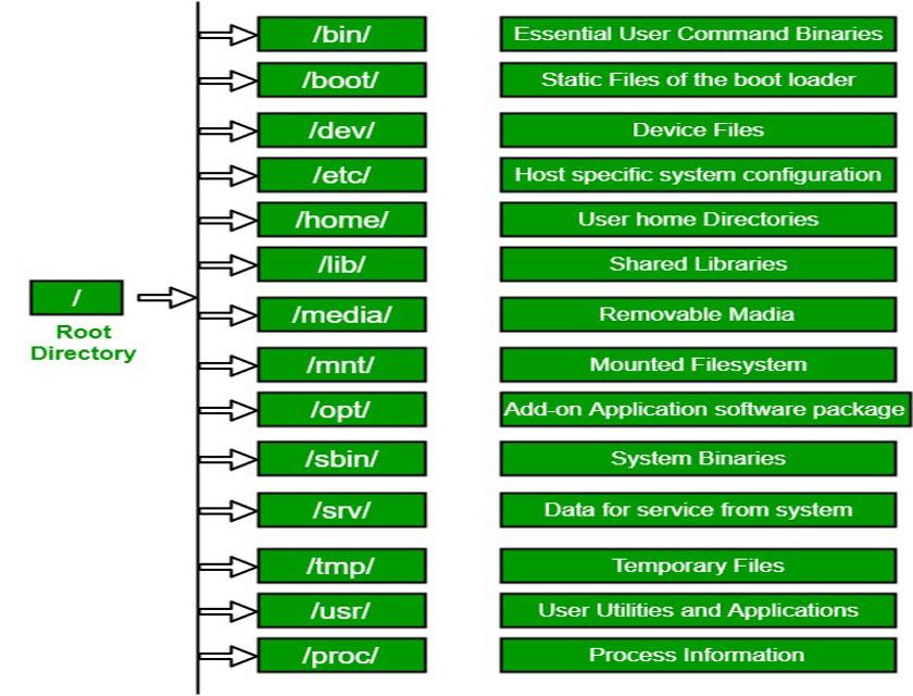 Cấu trúc thư mục và ứng dụng của các thư mục trong Linux